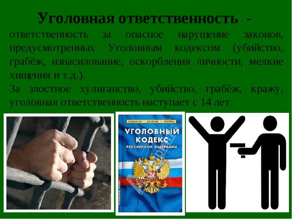 Уголовная ответственность презентация