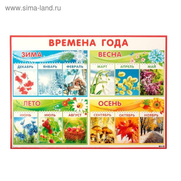 Плакат времена года и месяцы