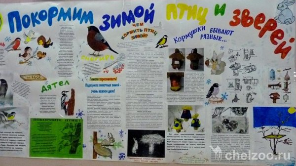 Газета ко Дню синички