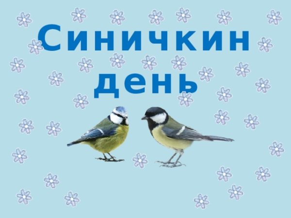 День синички