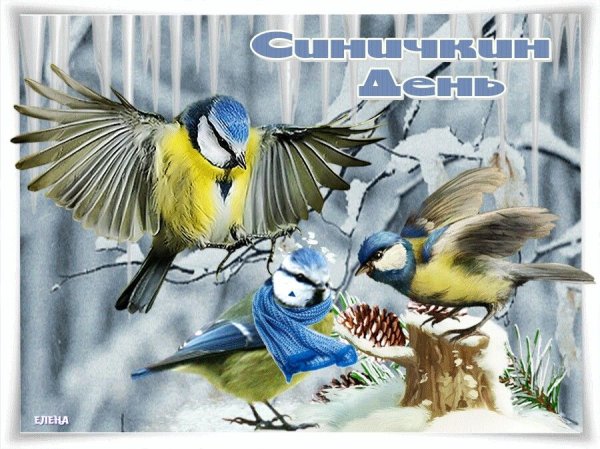 Открытка с днем синички