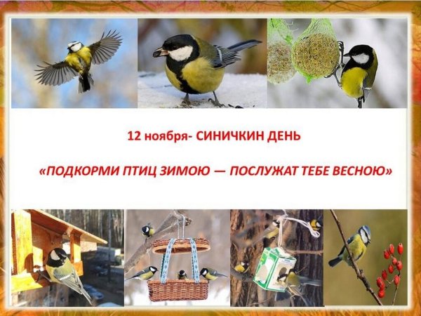 День встречи зимующих птиц Синичкин день