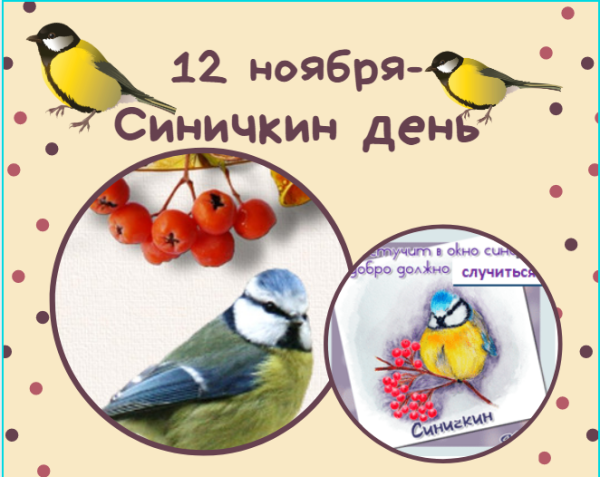 День Зиновия синичника или Синичкин день