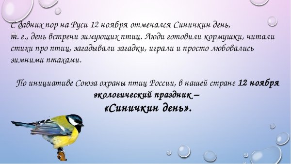 Открытки Синичкин день 12 ноября