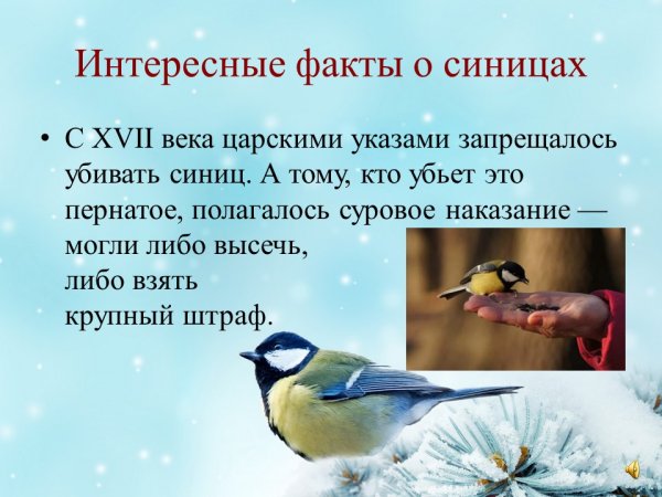 Синичкин день