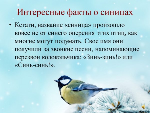 12 Ноября праздник Синичкин день