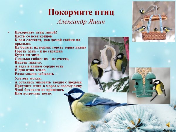 Надпись 12 ноября Синичкин день