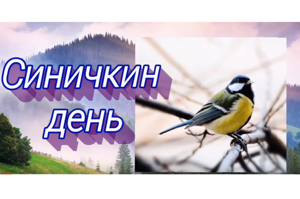 Акция Синичкин день