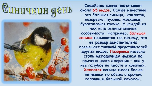 Синичкин день приметы