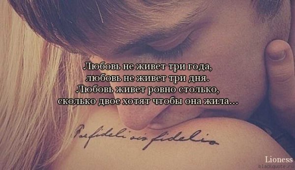 Жду любимого солдата