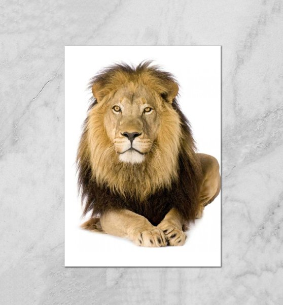 Постер "Лев в смокинге"