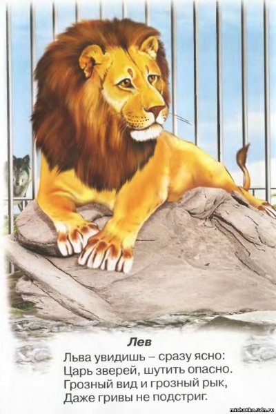 С новым годом Лев