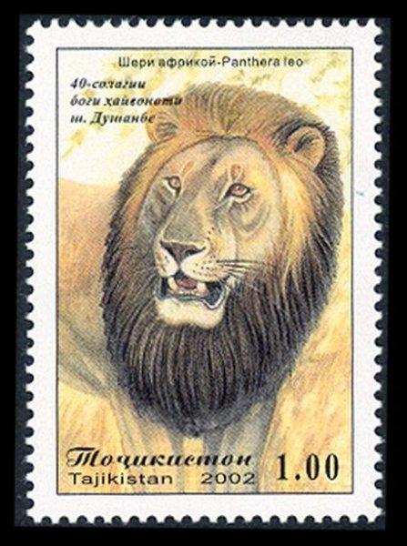 Поздравления с днём рождения льву ребенку