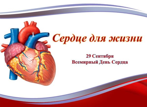 Профилактика сердечно-сосудистых заболеваний