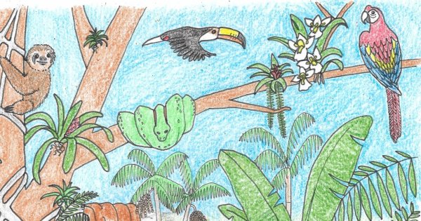 Спасти тропический лес плакат