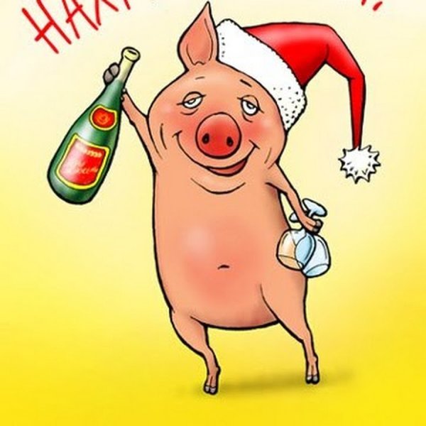 Советские плакаты про свиноводство