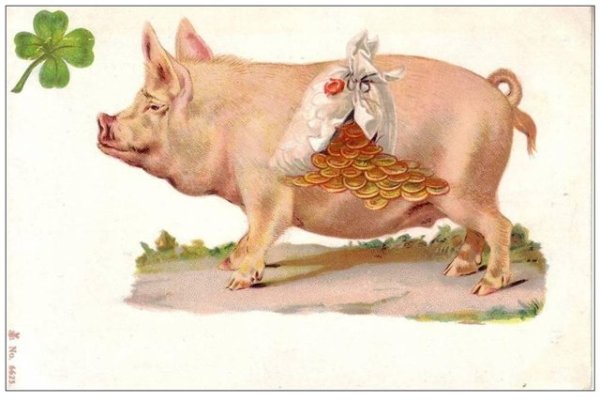 Свинья мусорит