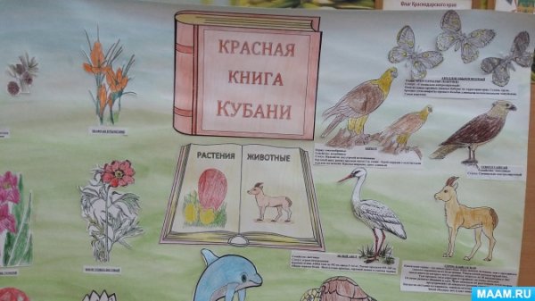 Красная книга рисунок