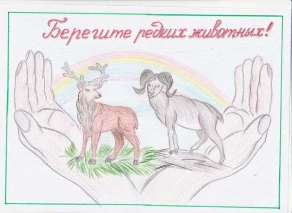 Плакаты с животными и растениями из красной книги России