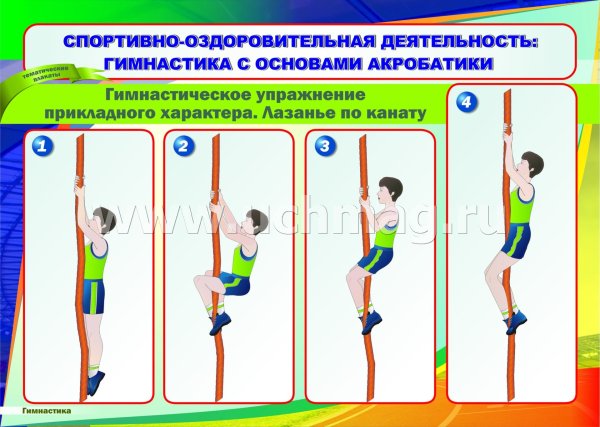 Наглядные пособия по физической культуре