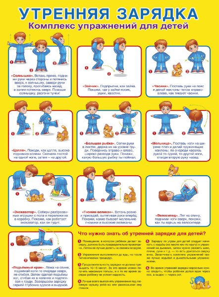 Основные упражнения по физкультуре
