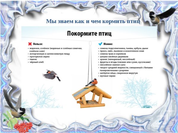 Подкармливать птиц