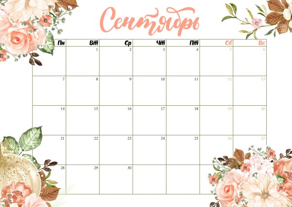 Планер на август