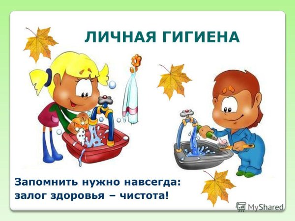 Личная гигиена залог здоровья
