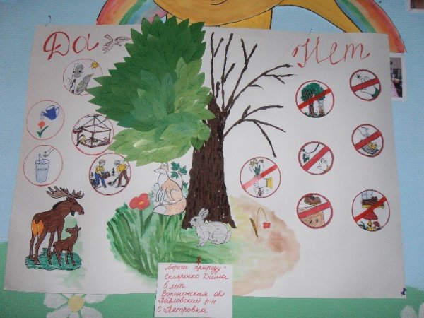 Плакаты береги природу для детей