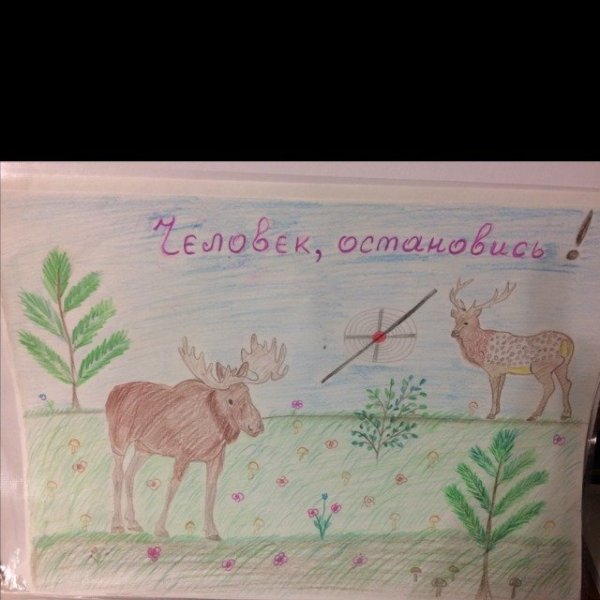 Плакат берегите животных 3 класс