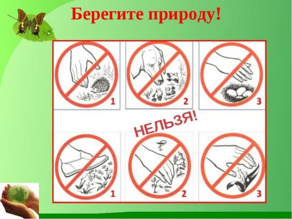 Рисунок берегите природу