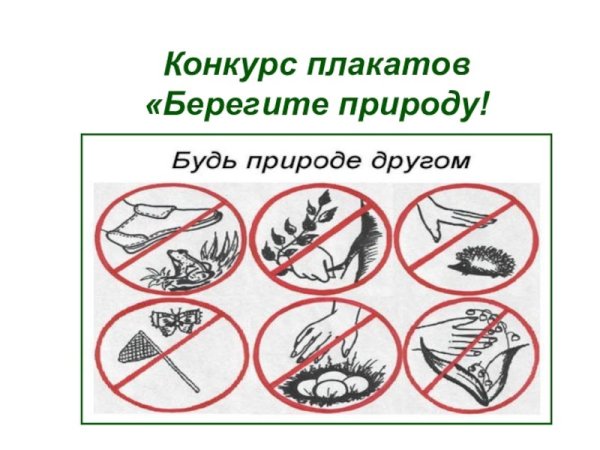 Рисунок на тему охрана животных