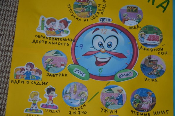 Распорядок дня