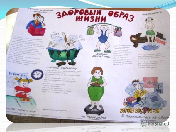 Стенд ЗОЖ В школе