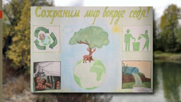 Плакаты в поддержку экологии