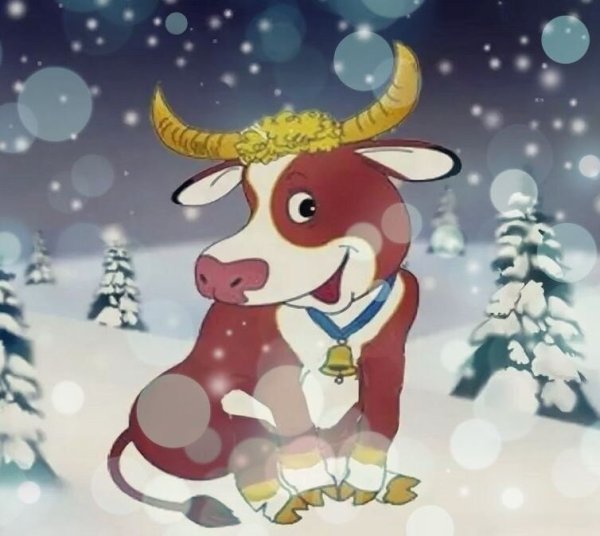 «Новогодний бычок»