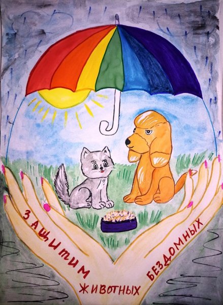 Защитим животных