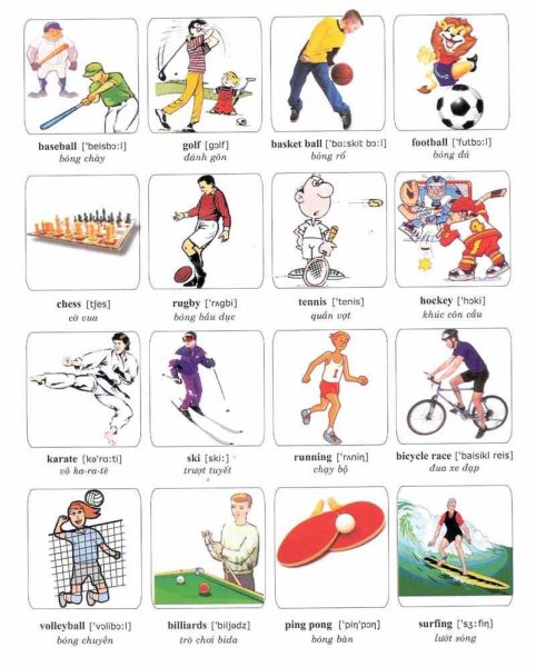 Виды спорта наьанглийском