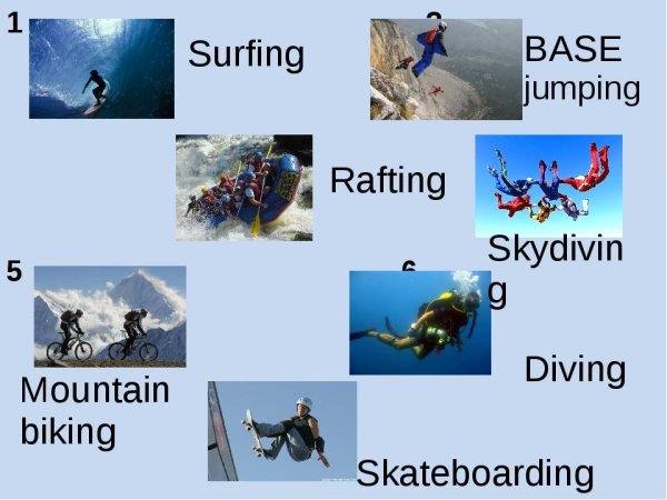 Виды спорта