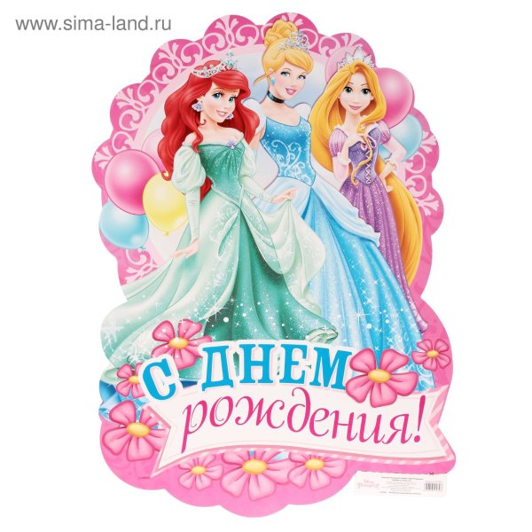 День рождения принцессы