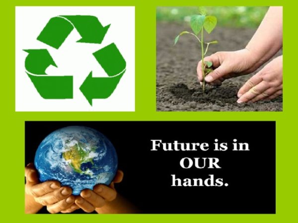 Экологический плакат на английском