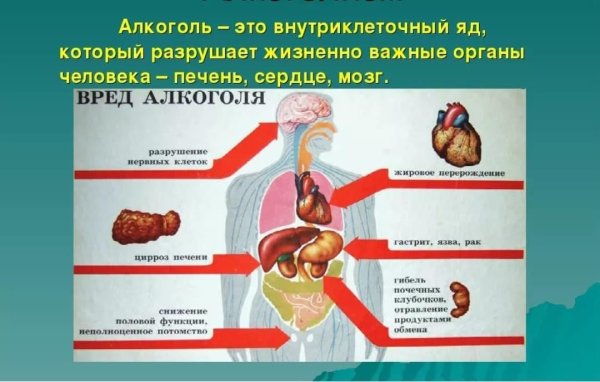 Памятка о вреде алкоголя на организм