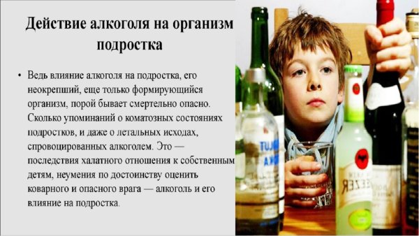 Влияние алкоголя на организм подростка