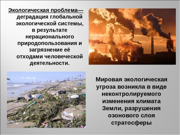 Глобальные экологические проблемы