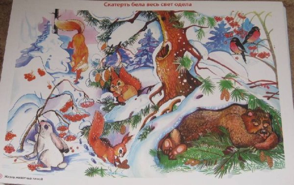 Дикие животные готовятся к зиме