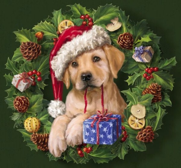 С новым годом 2018 собаки