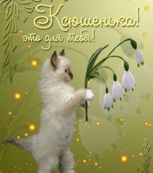С днём рождения Ксюша