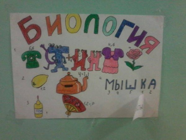 Плакат по биологии