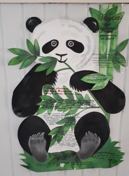 Стенгазета биология