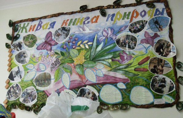 Биологическое разнообразие рисунок